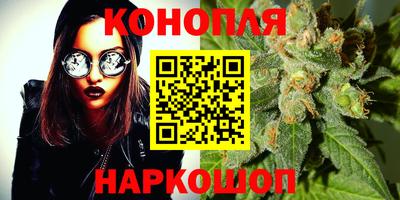 крисы Краснознаменск