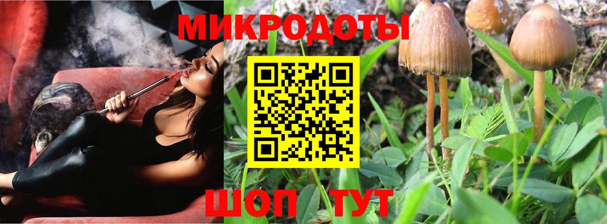 Псилоцибиновые грибы Psilocybe  Псилоцибиновые грибы прущие грибы  Кировск  Вход с VPN 